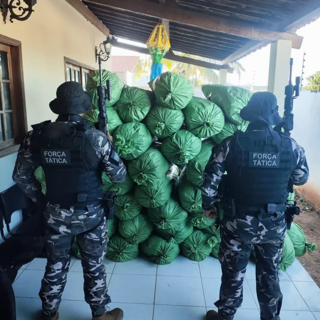 Leia mais sobre o artigo Polícia prende homem com quase meia tonelada de drogas em Sumé