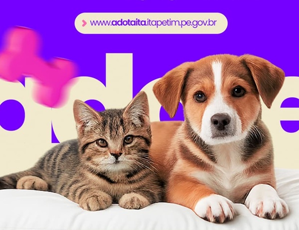 Leia mais sobre o artigo Itapetim lança plataforma digital para adoção de animais carentes